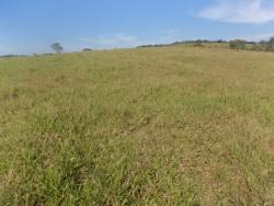 Fazenda para Venda em Atibaia - 4
