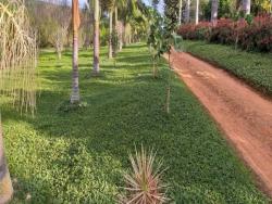 Venda em Zona Rural - Amparo